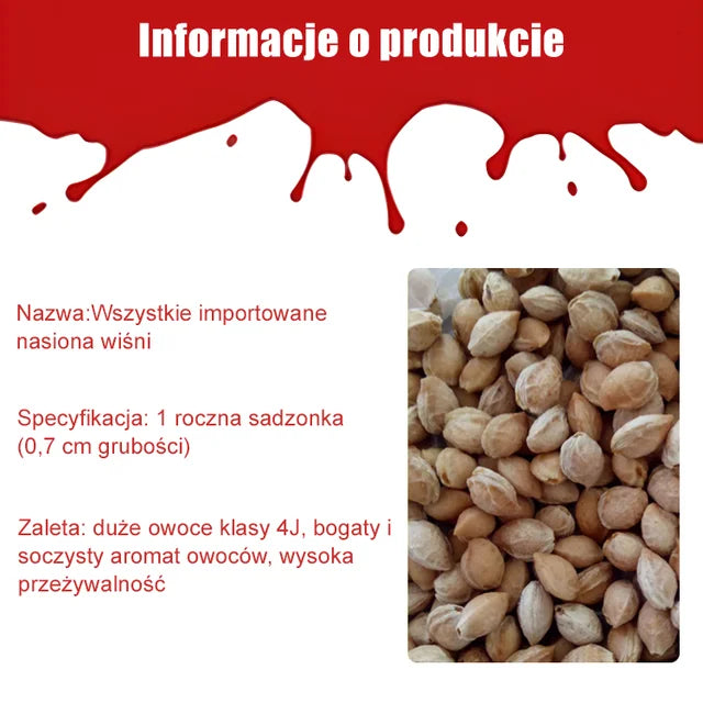 Importált chilei cseresznyemag