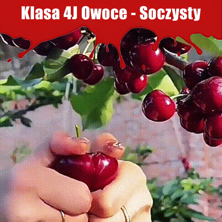 Importált chilei cseresznyemag