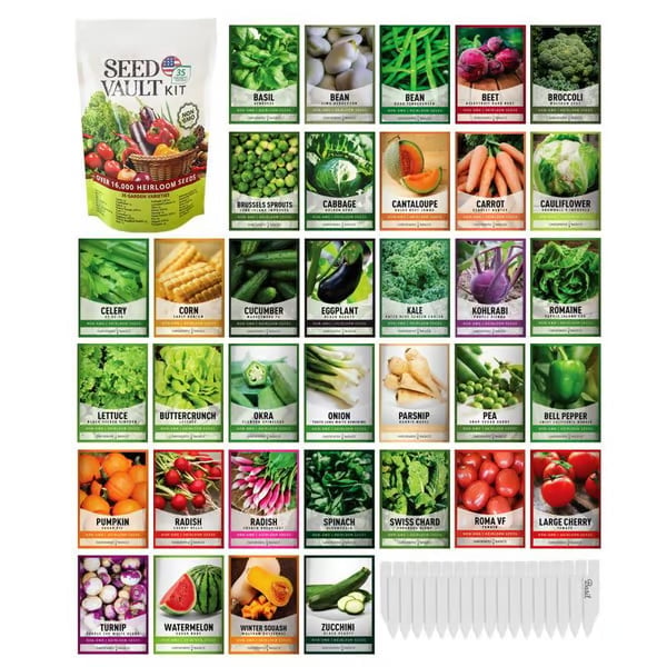 Növényi Seed Vault Kit | 35 Változatos csomag