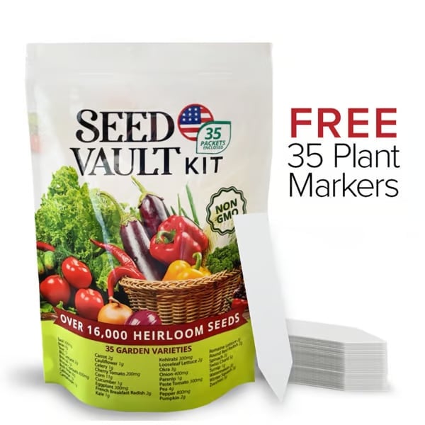 Növényi Seed Vault Kit | 35 Változatos csomag