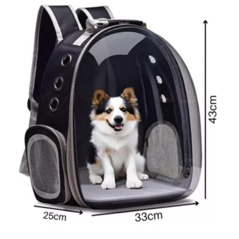 Panorámás kisállat hátizsák - kutya és macska